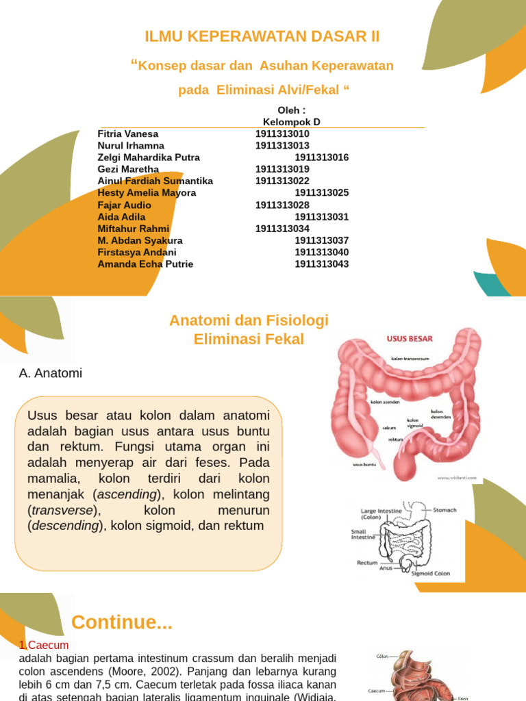Asuhan Keperawatan Eliminasi Fekal | PDF