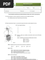Teste - sistema digestivo - com correcção