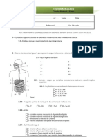 Teste - Sistema Digestivo - Com Correcção
