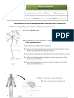 Teste - sistema nervoso