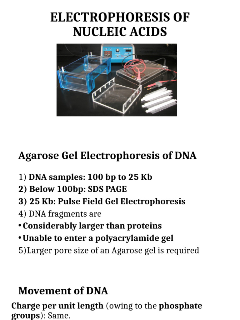 AGAROSE GEL and Parasitology | PDF | Gel Electrophoresis | Agarose Gel ...