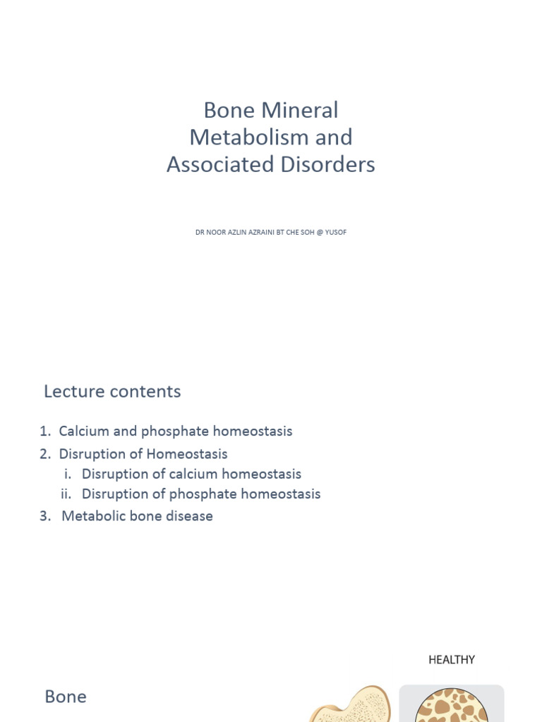 Bone Mineral Metabolism Overview | PDF | Bone | Osteoblast