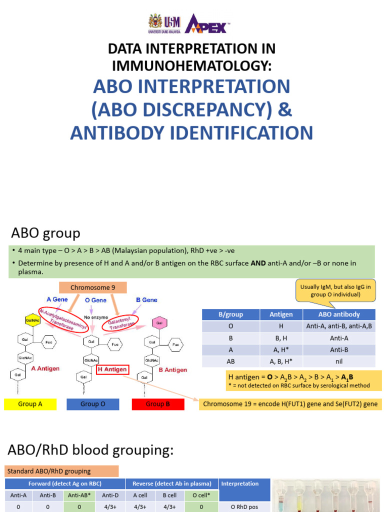 ABO Discrepancy and Antibody Identification | PDF | Blood Type | Antibody