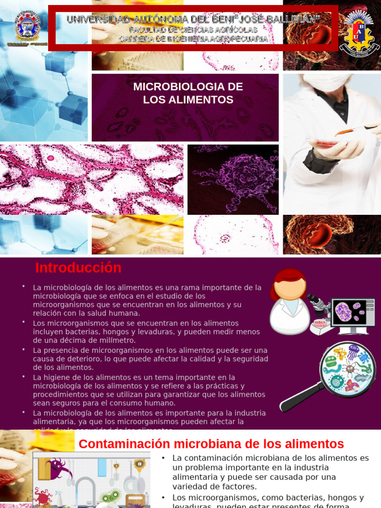 Microbiologia de Los Alimentos | PDF | Alimentos | Microbiología