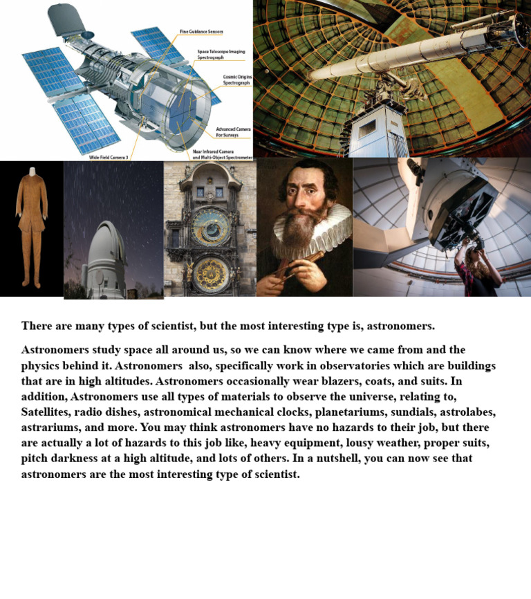 Type of Scientist Final Draft | PDF