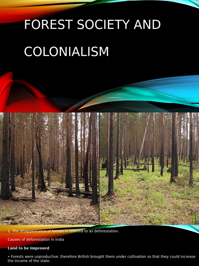 Colonial Impact on Forests and Society | PDF | Forests | Trees