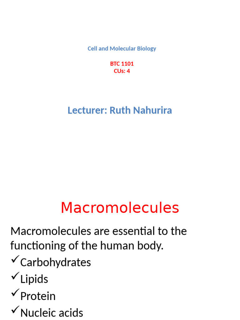 Overview of Macromolecules in Biology | PDF | Carbohydrates | Amino Acid