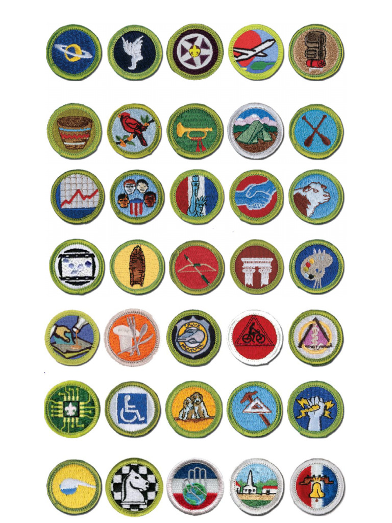Insignias | PDF