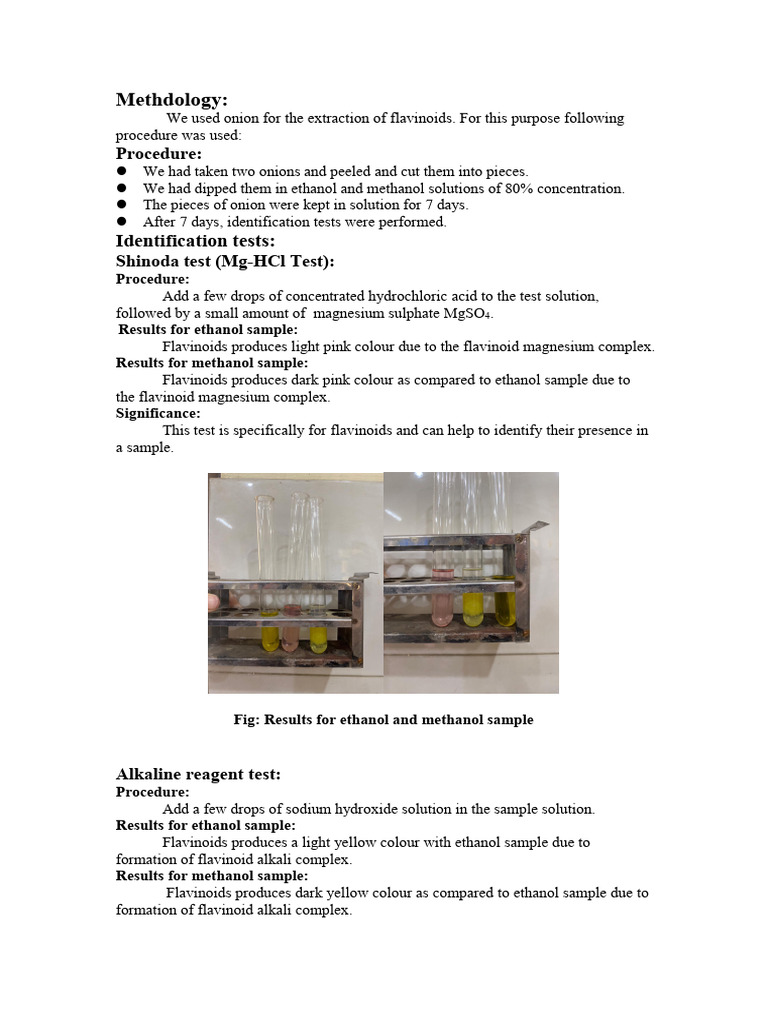 Meth Do Logy | PDF
