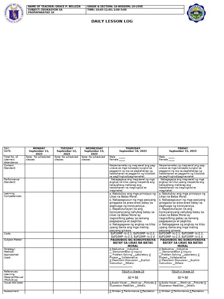 Daily Lesson Log | PDF
