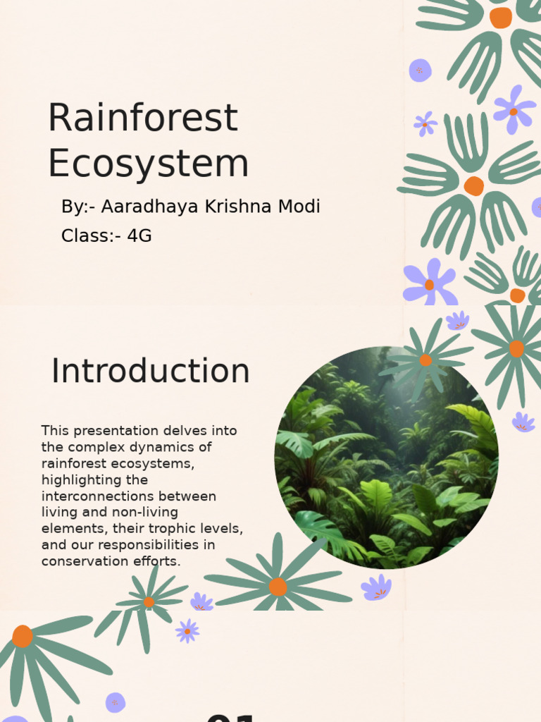 Rainforest Ecosystem Aaradhaya 2 | PDF | Ecosystem | Rainforest