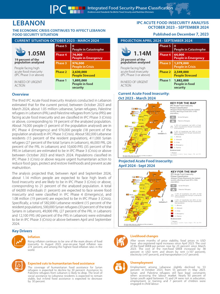 Lebanon Acute Food Insecurity Report 2023 | PDF | Employment | Malnutrition