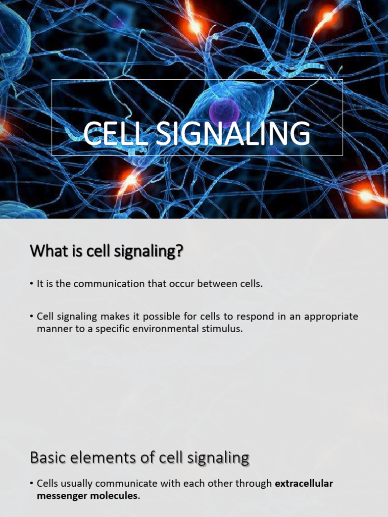 Overview of Cell Signaling Mechanisms | PDF | Cell Signaling | Signal ...