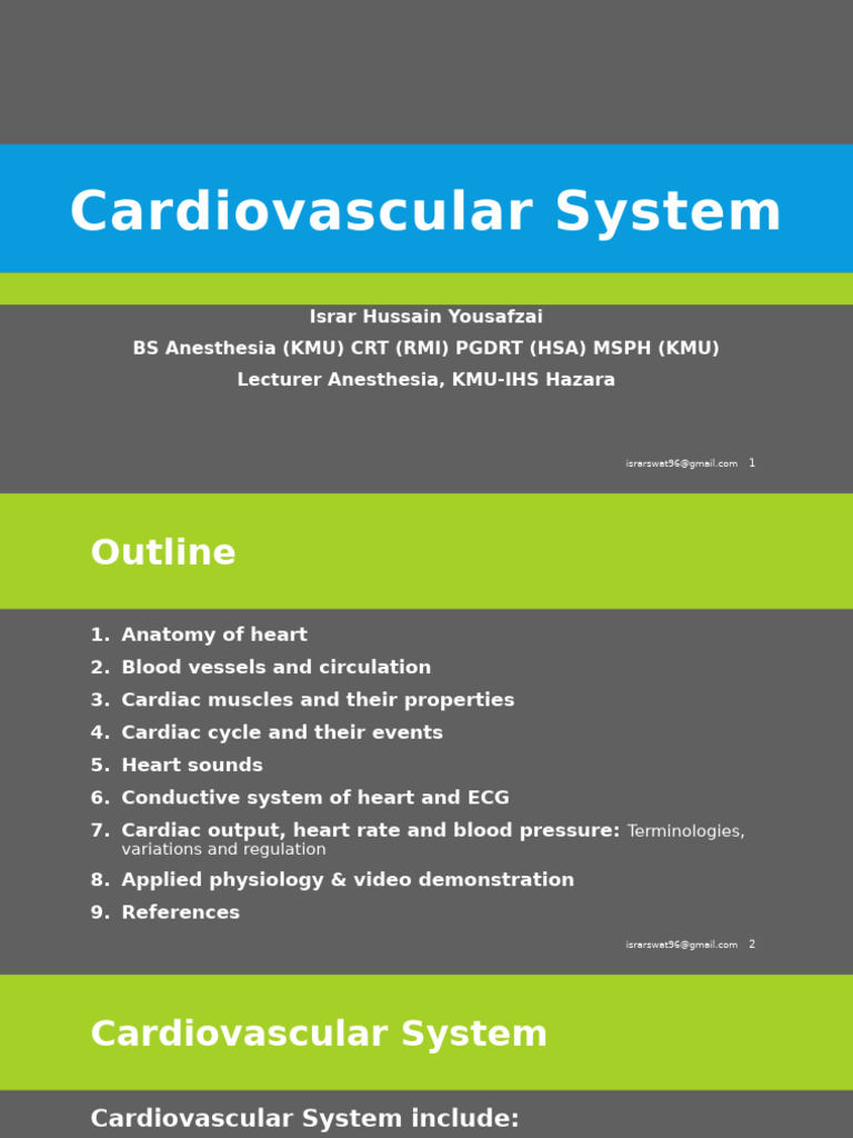 Overview of Cardiovascular Anatomy and Physiology | PDF | Heart Valve ...
