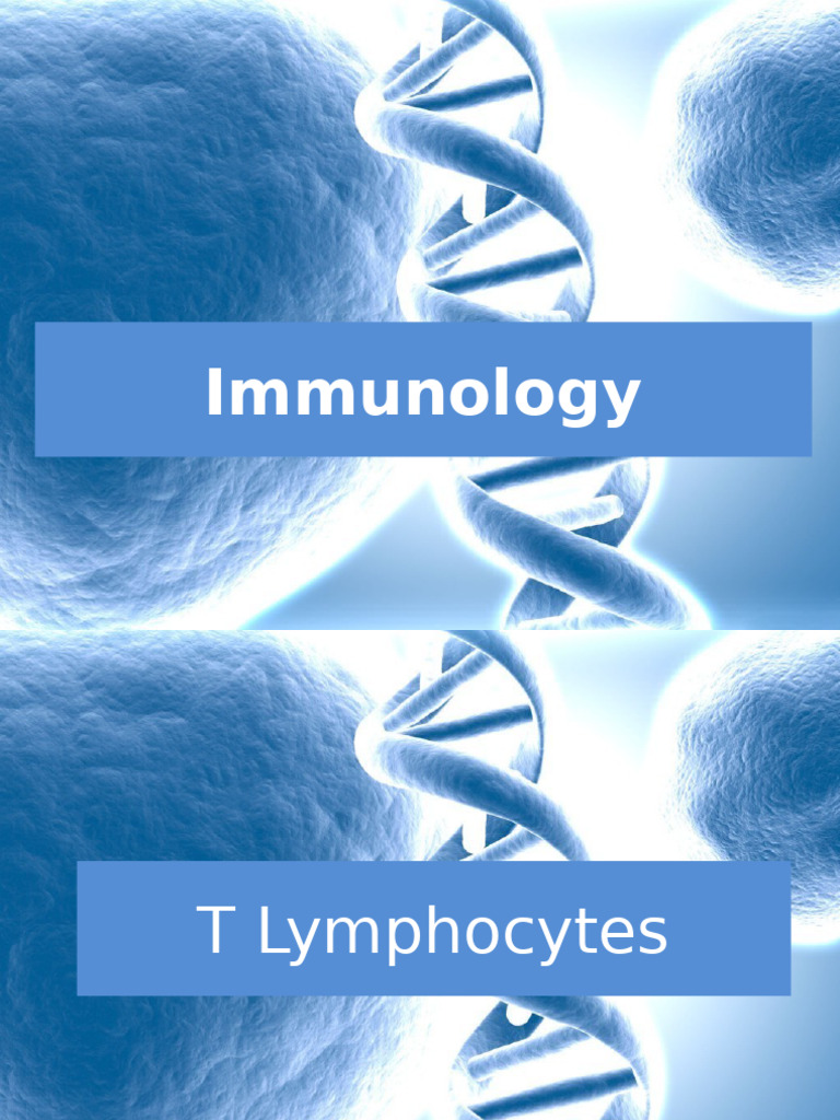 T Lymphocytes: Functions and Activation | PDF | T Cell | Major ...