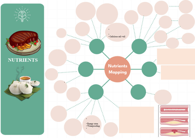 Nutrients Map | PDF | Carbohydrates | Glucose
