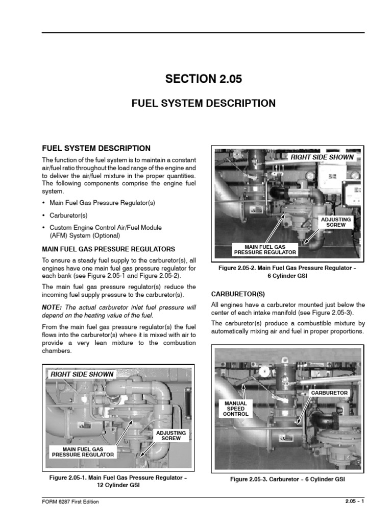 Fuel System Overview for Engines | PDF | Carburetor | Engines