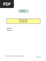 NS Grade 8 Test November 2021 Past Paper | PDF | Planets | Solar System