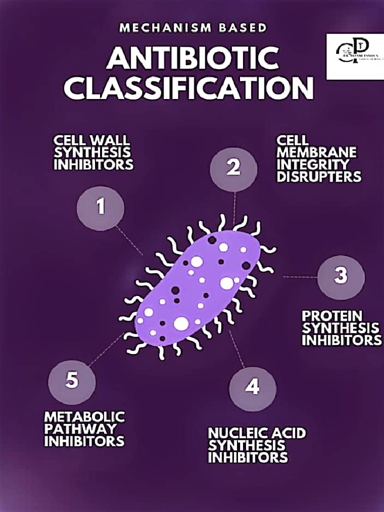 Antibiotic Classification | PDF