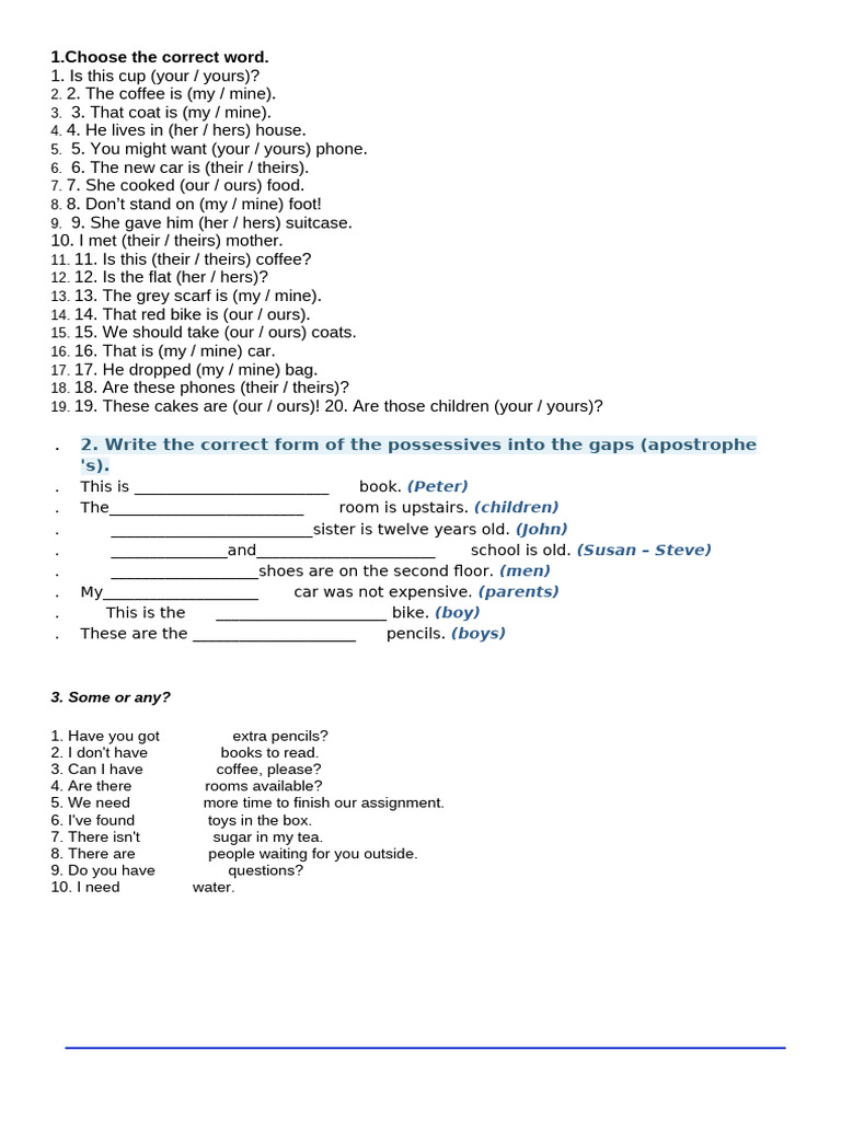 Possessives and Quantifiers Exercises | PDF