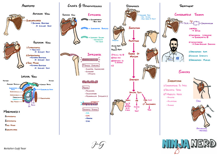 Orthopedics) 01 Rotator Cuff Tear - Key | PDF