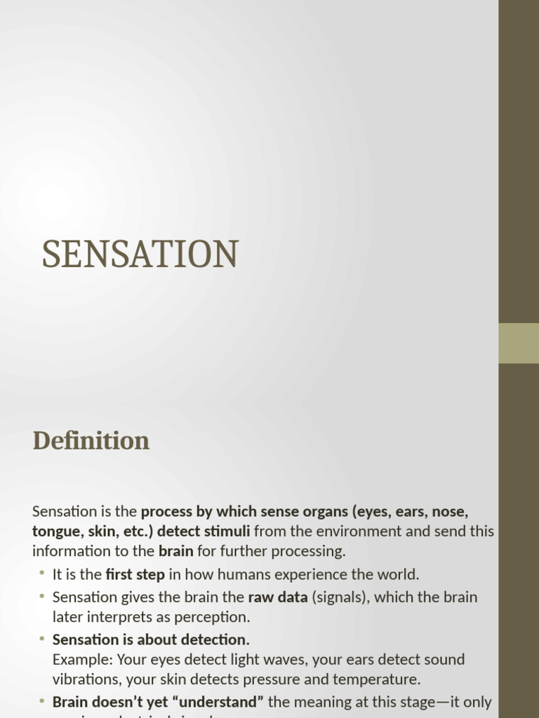 Understanding Sensation and Perception | PDF | Senses | Taste