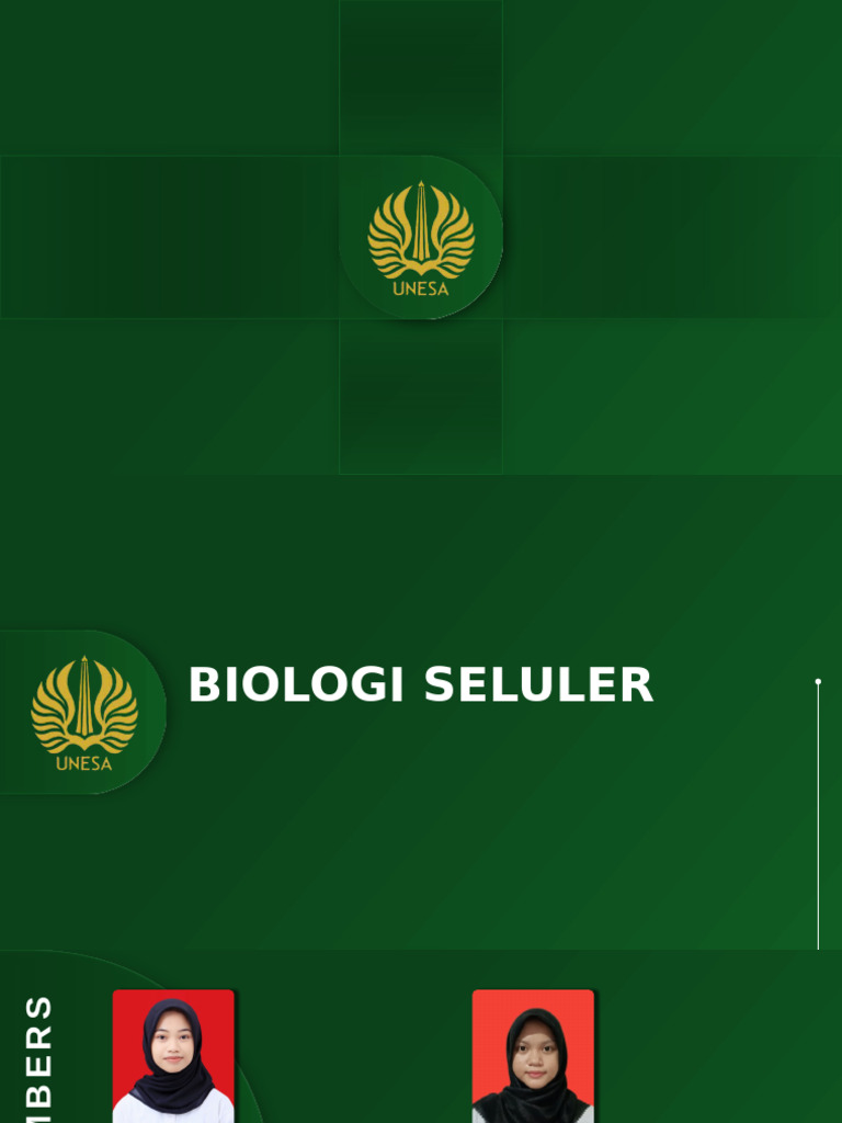 Biosel Kelompok 2 | PDF
