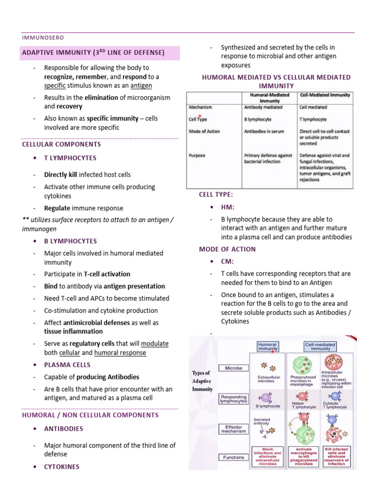Understanding Adaptive Immunity Components | PDF | Antigen | Immune System