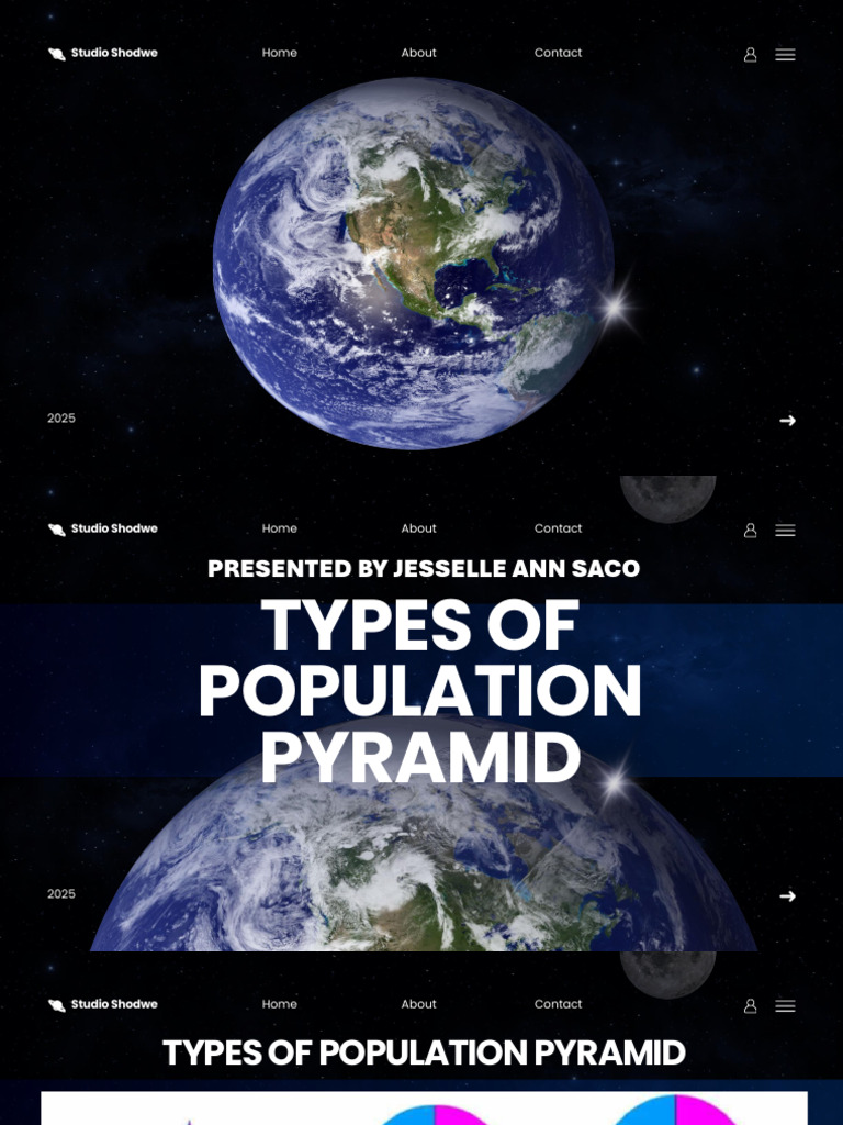 Understanding Population Pyramids | PDF | Economies | Social Policy