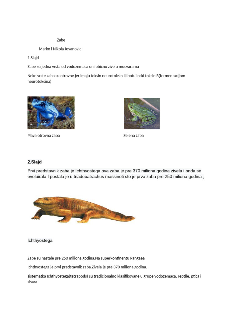 Zabe | PDF