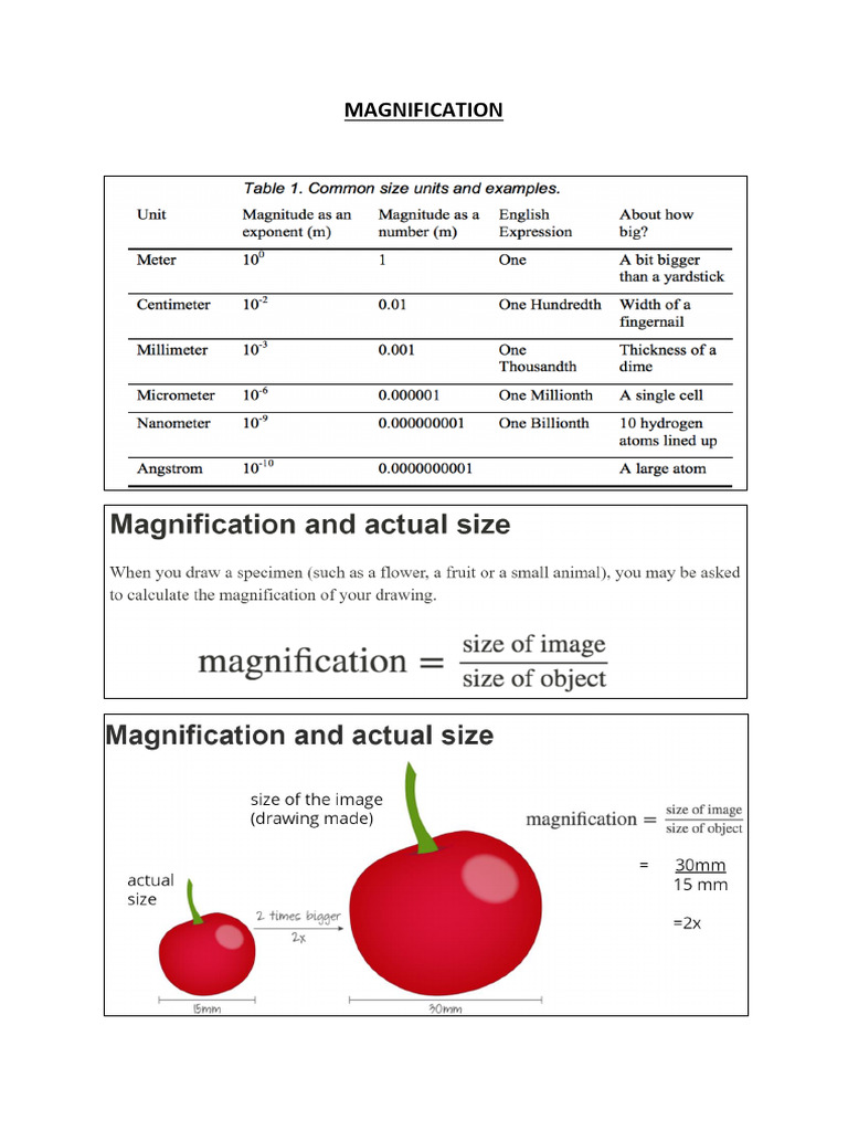 Magnification | PDF