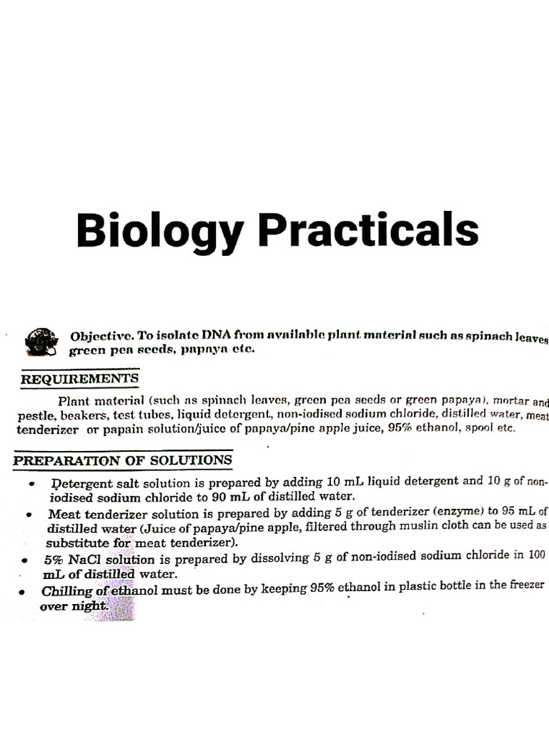 Bio Prac | PDF