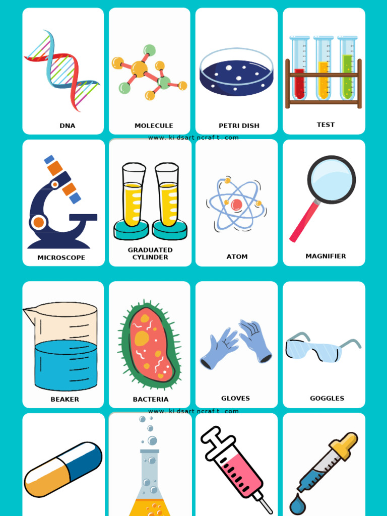 Lab Equipment Flashcards Free Printable Labeled | PDF