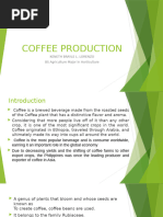 Coffee Production Guide for the Philippines | PDF | Coffee | Seed