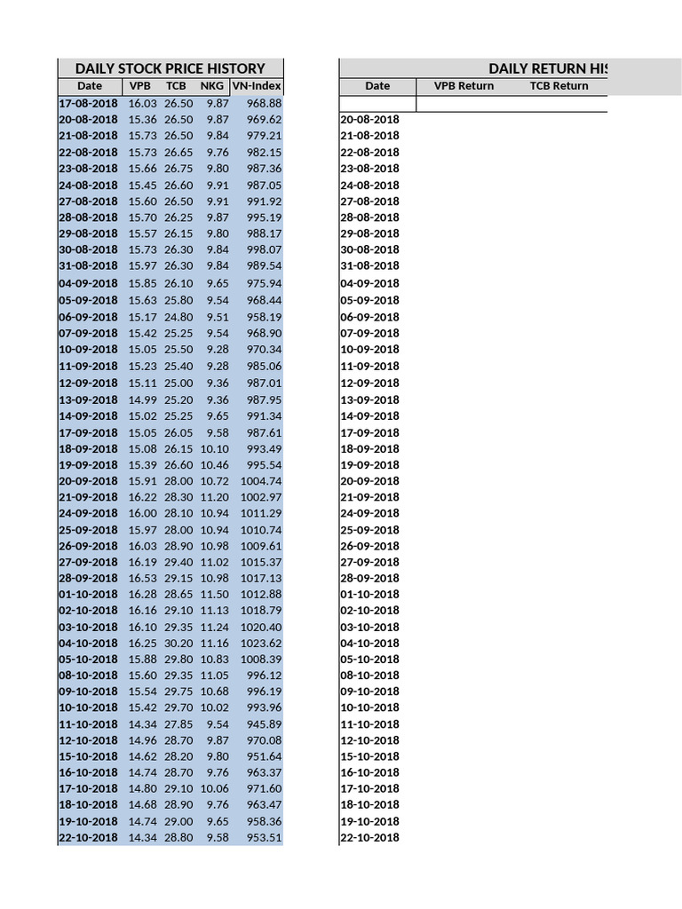 Daily Stock Price and Return Data | PDF