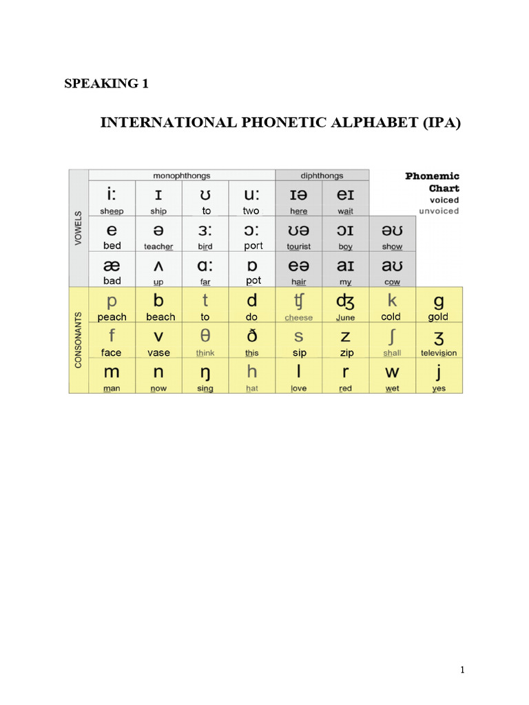IPA Vowel Pronunciation Guide | PDF | Teachers | University