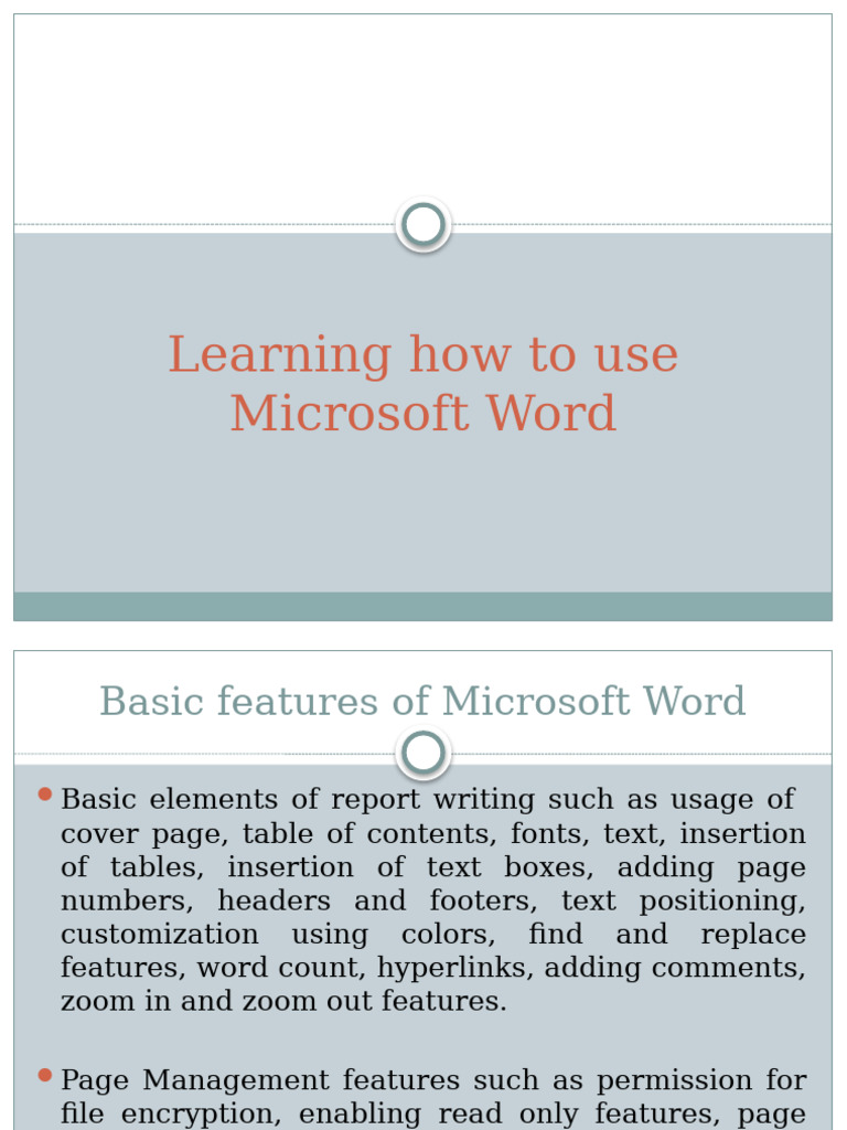 Microsoft Word Assignment | PDF