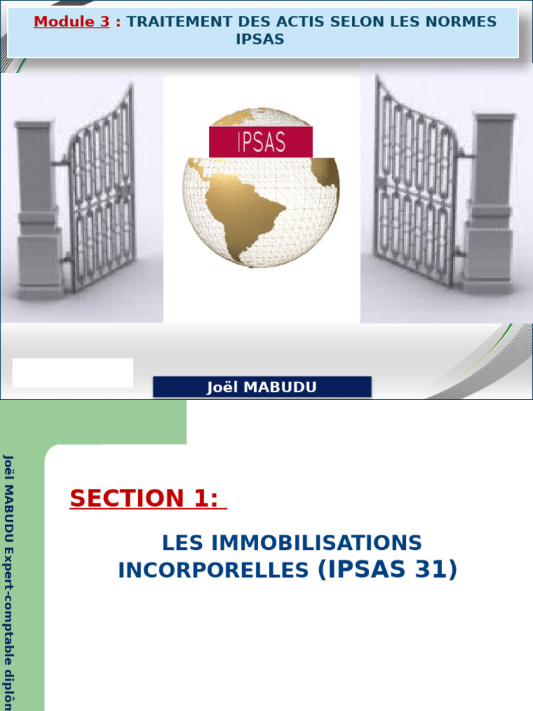 Immobilisations selon normes IPSAS 31 et 17 | PDF | Immobilisations ...
