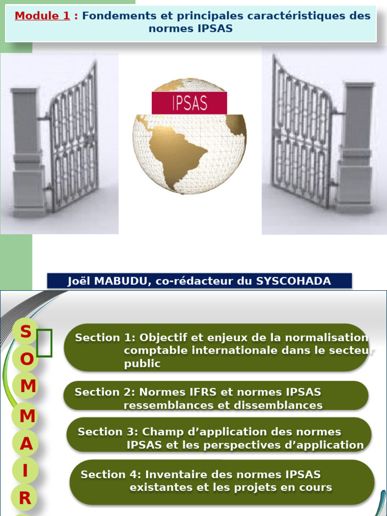 Normes IPSAS : Fondements et enjeux | PDF | Normes internationales d ...
