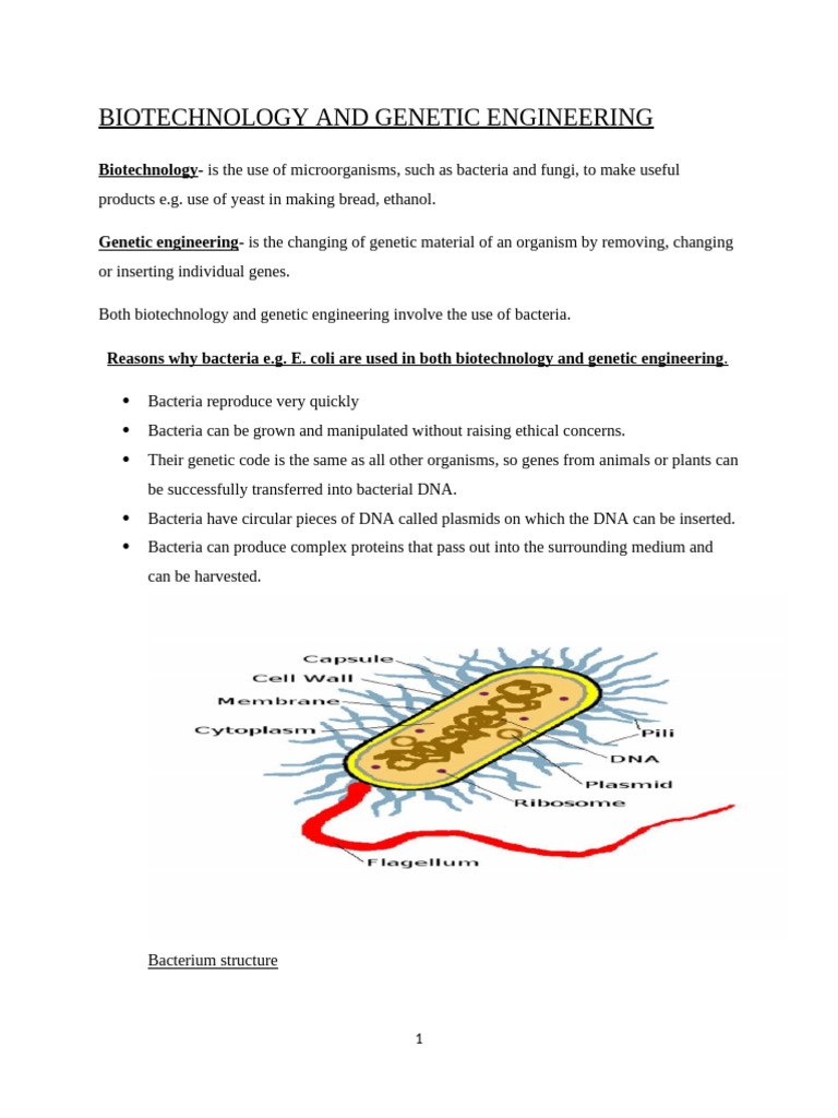 Biotechnology and Genetic Engineering Overview | PDF | Genetically ...