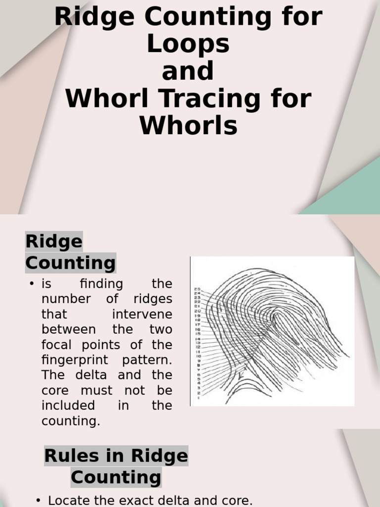 Ridge Counting and Whorl Tracing | PDF
