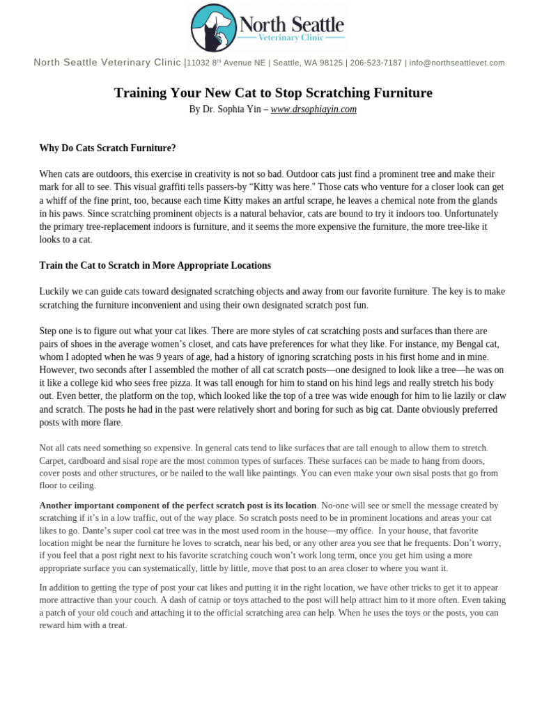 Image showcasing Training Your New Cat To Stop Scratching Furniture 32 | PDF | Cats
