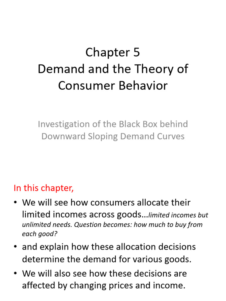 Understanding Consumer Demand Theory | PDF | Utility | Demand