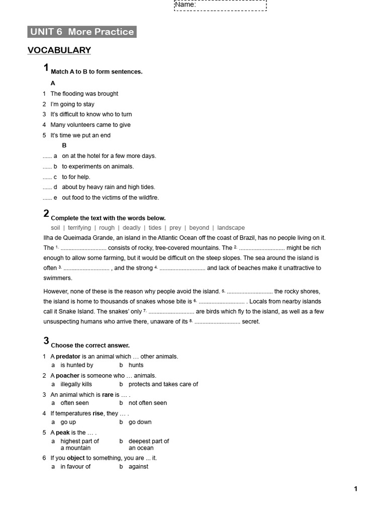 Vocabulary and Grammar Practice Guide | PDF | Climate Change | Weather