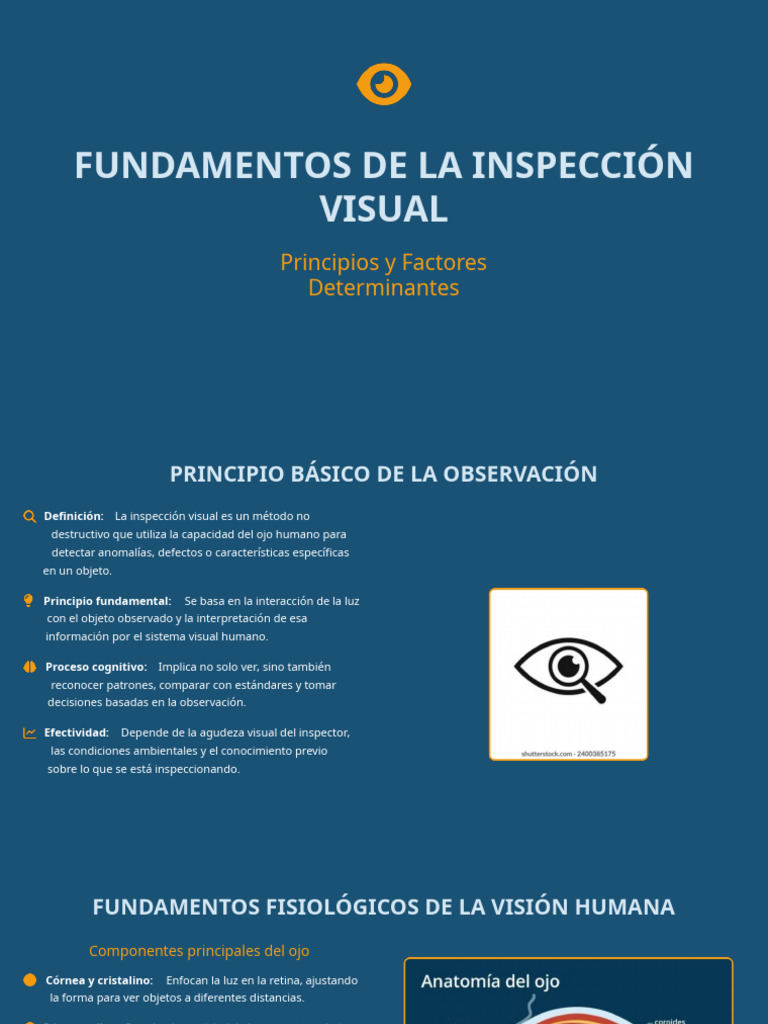 Fundamentos de la Inspección Visual | PDF | Percepción visual | Ojo humano