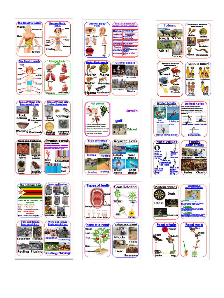 HBC Charts Samples | PDF