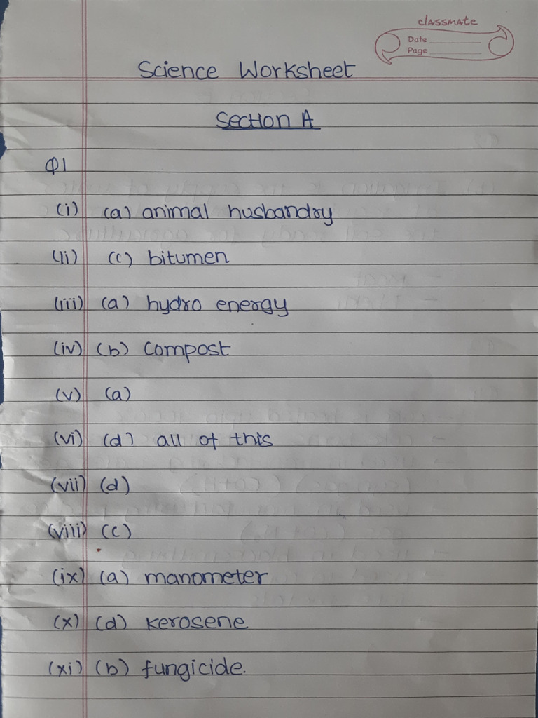 Science Worksheet on Energy and Fuels | PDF
