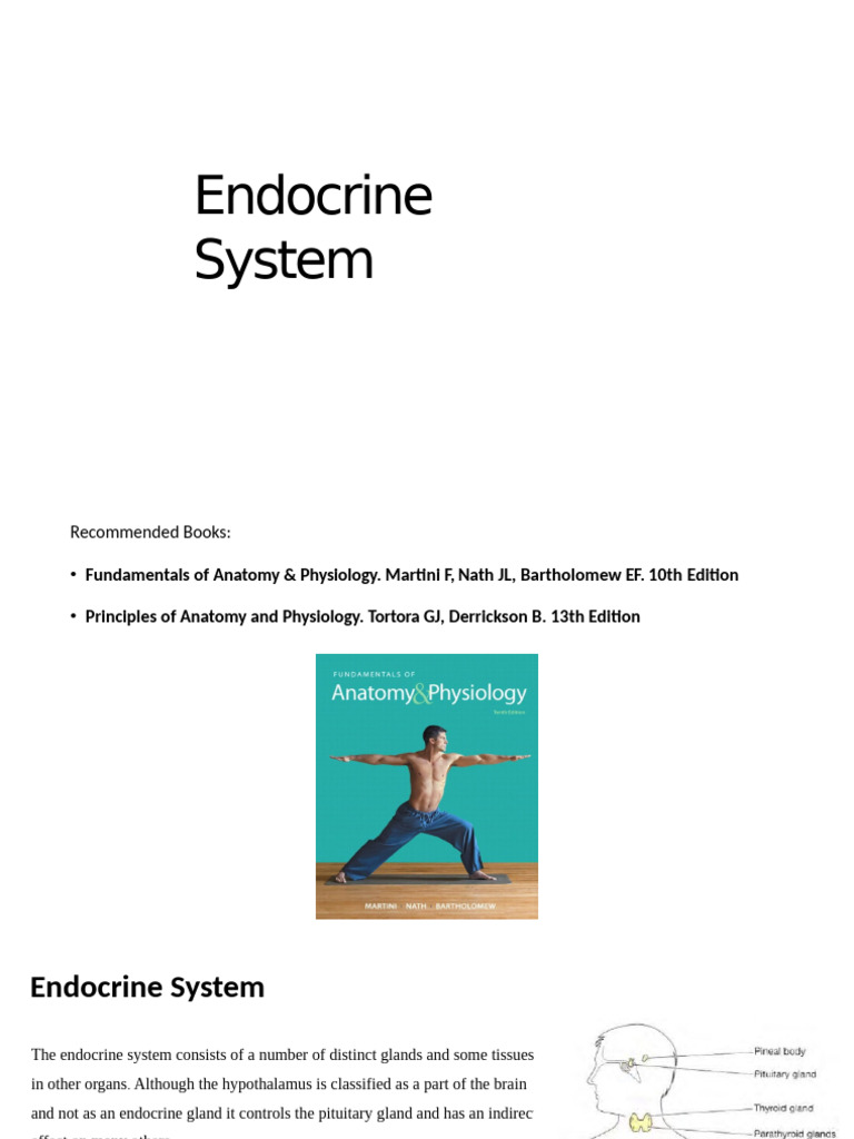 Overview of the Endocrine System | PDF | Adrenal Gland | Luteinizing ...