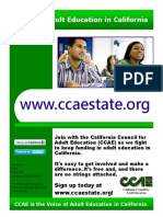 CCAE State Flyer 3.24.12
