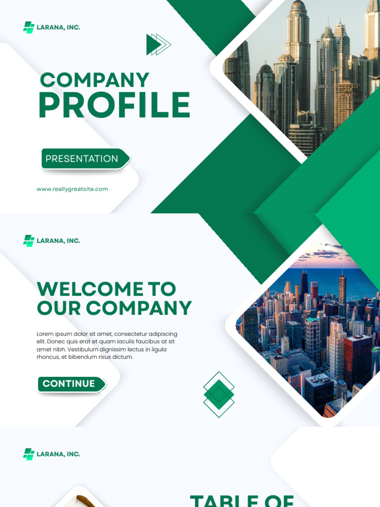 Larana Inc. Company Overview | PDF
